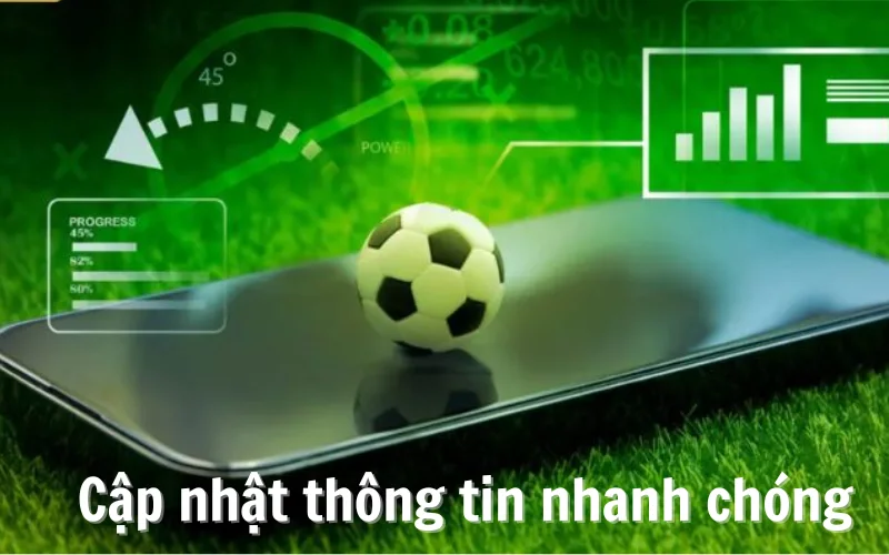 Dữ liệu giải đấu thể thao được cập nhật nhanh chóng và chính xác