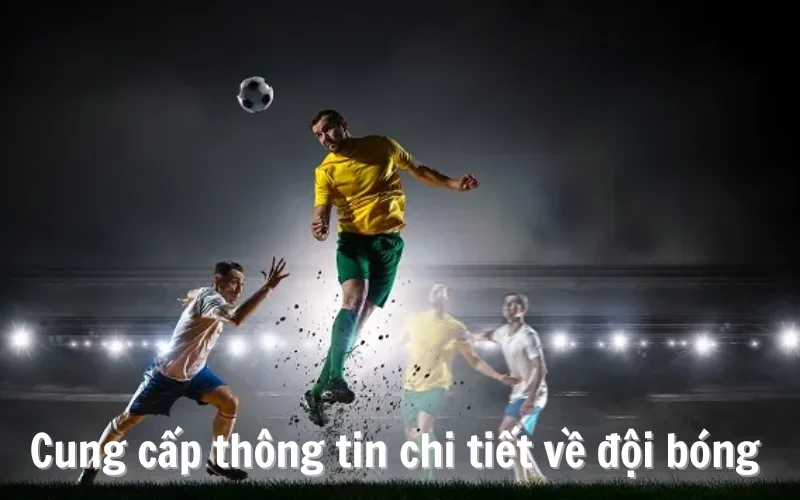 Cung cấp thông tin đội bóng - Điểm nổi bật của chuyên mục