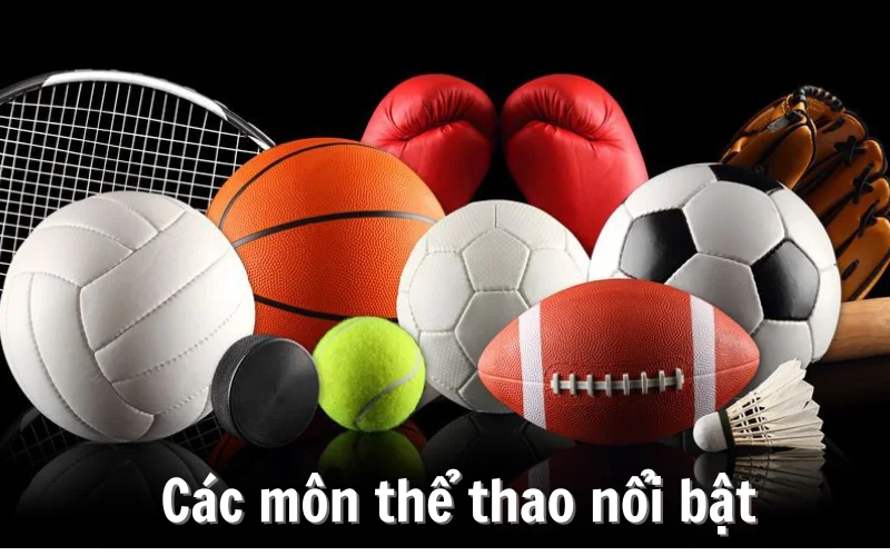 Khám phá hàng loạt siêu phẩm thể thao đình đám