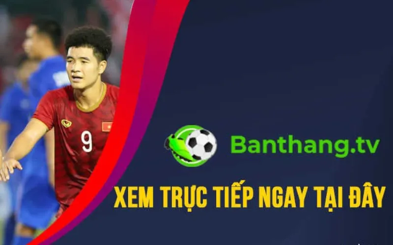 Tổng quan về liên hệ tại website uy tín